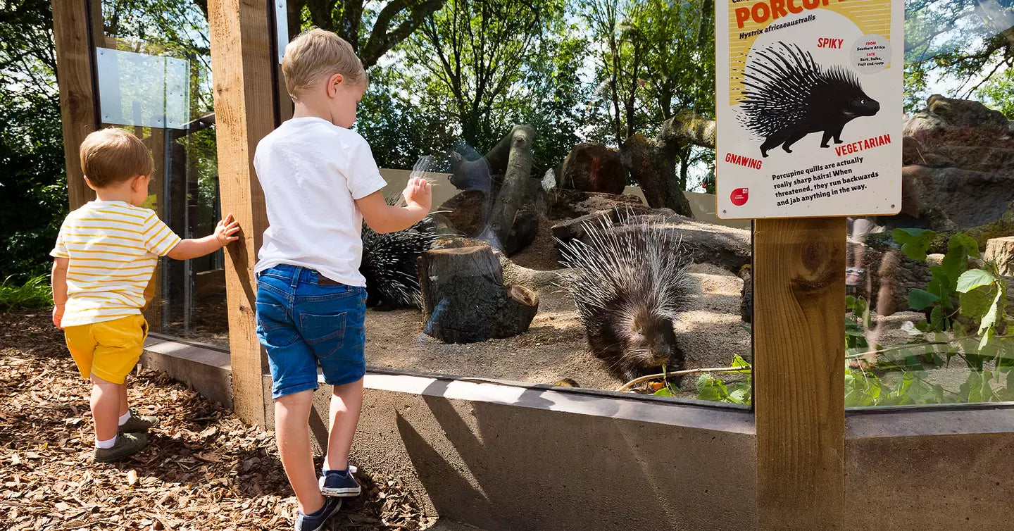 London Zoo Day Trip - Thursday 6th August 2026