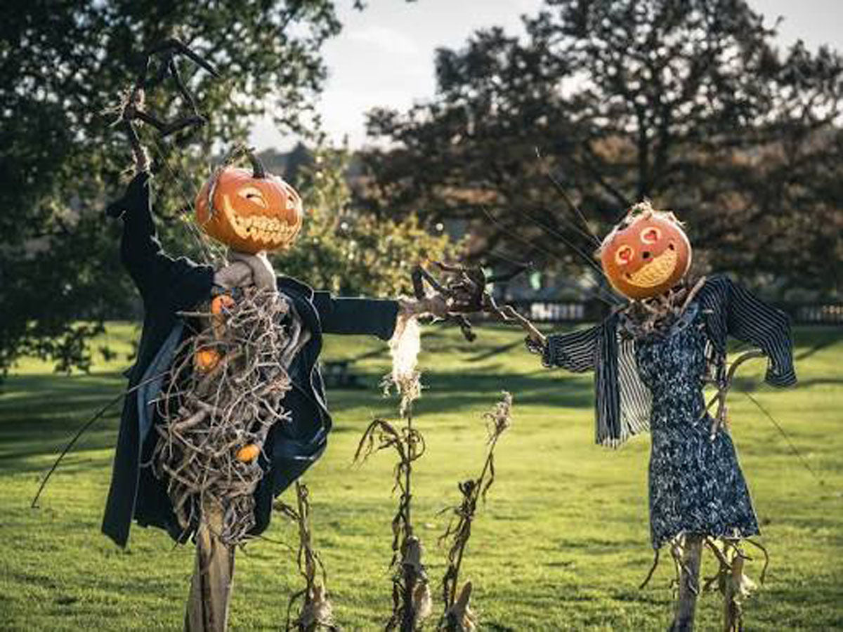Halloween at Trentham Gardens Day Trip - Wednesday 28th October 2026