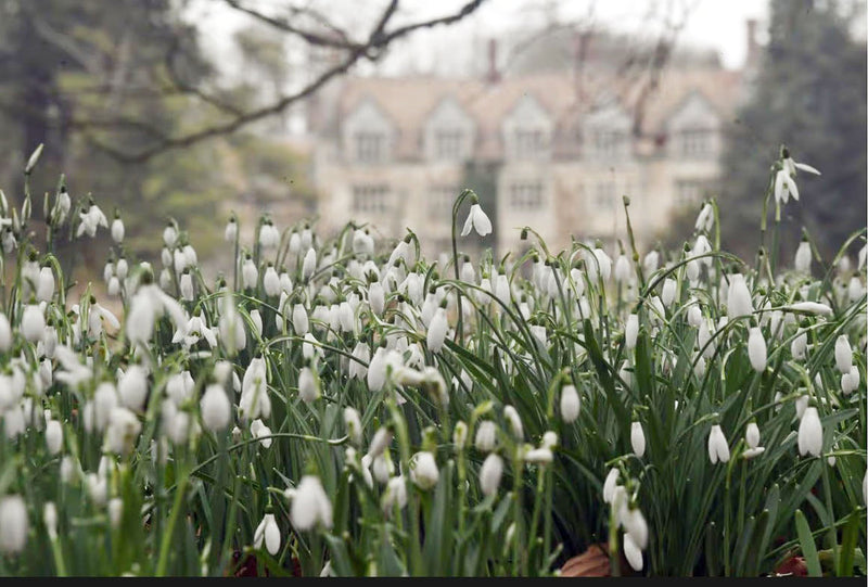 Anglesey Abbey Snow Day Trip - Tuesday 2nd February 2027
