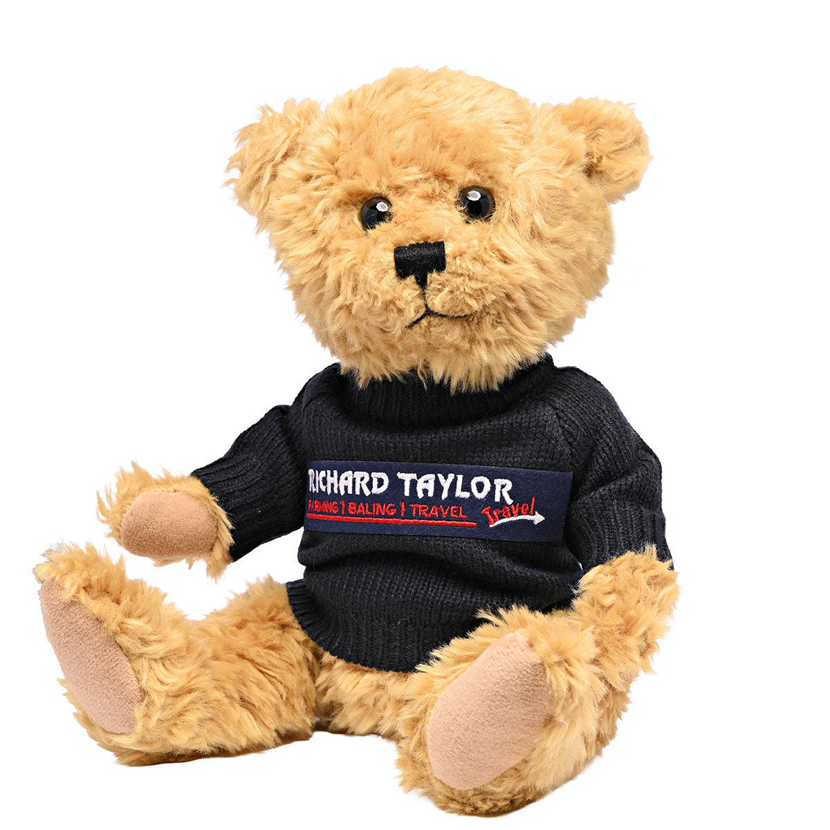 A plush Bill The Bear teddy bear with golden-brown fur wearing a navy blue knit sweater that reads 'RICHARD TAYLOR TRAVEL' with a red and white logo, photographed on a plain white background.