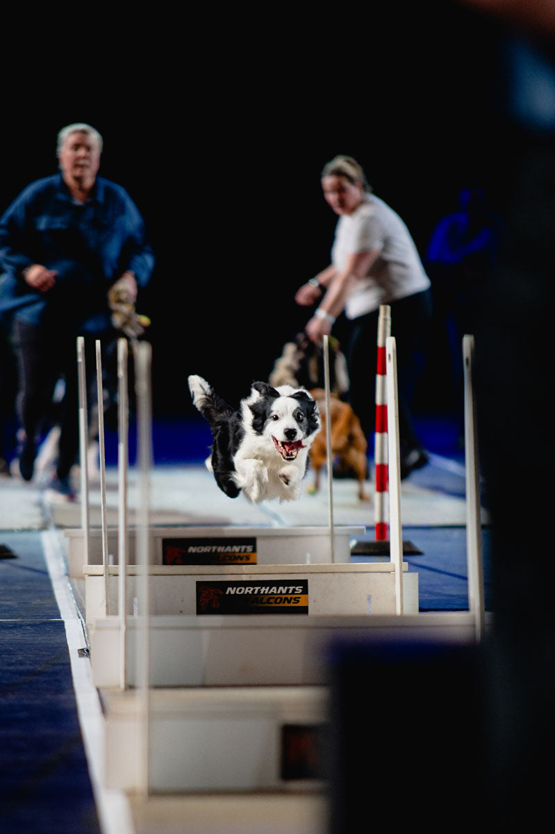 Birmingham International Tattoo Day Trip - Sunday 21st February 2027 fly ball competiton