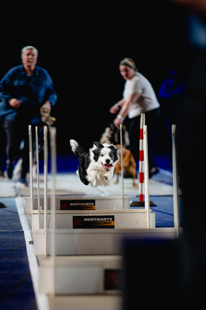 Birmingham International Tattoo Day Trip - Sunday 21st February 2027 fly ball competiton
