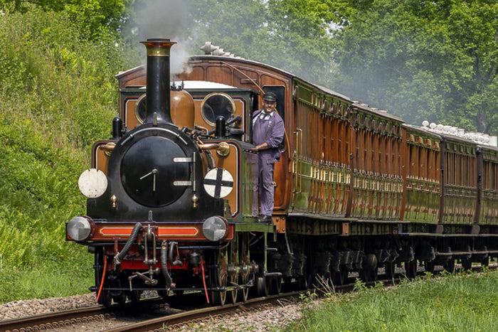 Royal Tunbridge Wells & Bluebell Railway - Thursday 16th July 2026