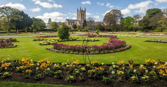 The Abbey Gardens in Bury St Edmunds is an award-winning, 14-acre park located in the town centre, offering a blend of11th-century monastic ruins, stunning floral displays, and formal gardens. Created in 1831, it features 64 island beds, 20,000 spring plants, a rose garden, a riverside walk, and an aviary. 