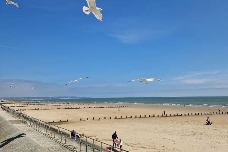 Dymchurch Coastal Day Trip - Friday 9th July 2027