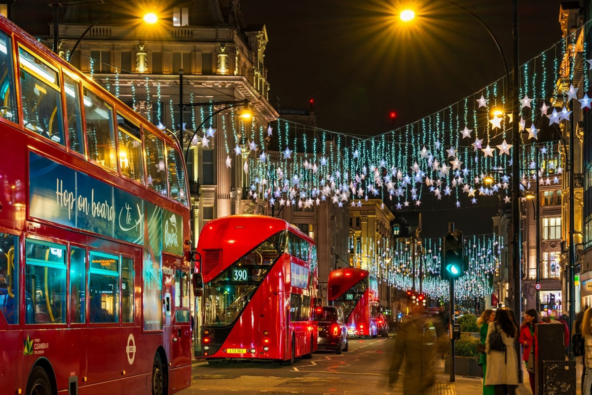London Christmas Lights & Fish 'N' Chips Day Trip - Monday 14th December 2026