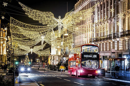 London Christmas Lights & Fish 'N' Chips Day Trip - Monday 14th December 2026