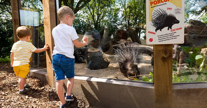 London Zoo Day Trip - Thursday 6th August  2026