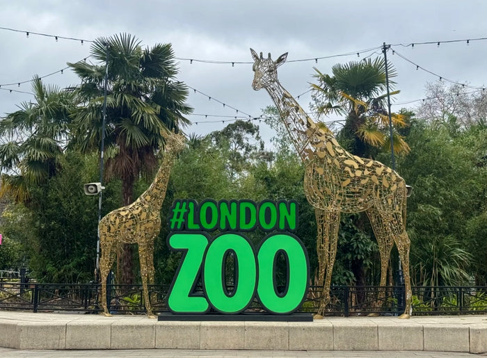 London Zoo Day Trip - Thursday 6th August  2026