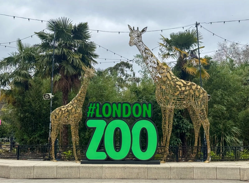 London Zoo Day Trip - Thursday 6th August  2026