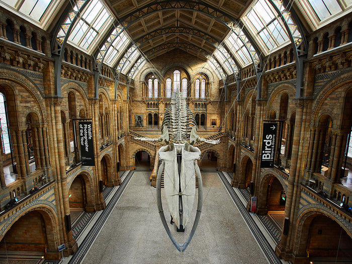 Natural History Museum & Science Museum - Friday 19th February 2027