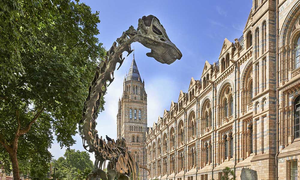 Outside-Natural-History-Museum