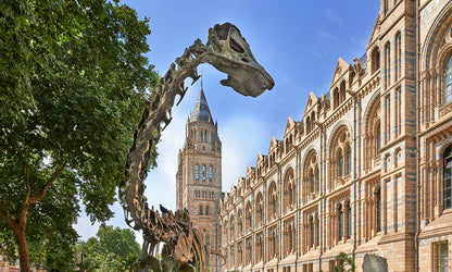 Outside-Natural-History-Museum