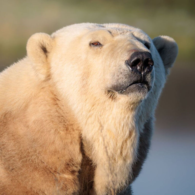Jimmy’s Farm & Wildlife Park Day Trip - Wednesday 11th August 2027