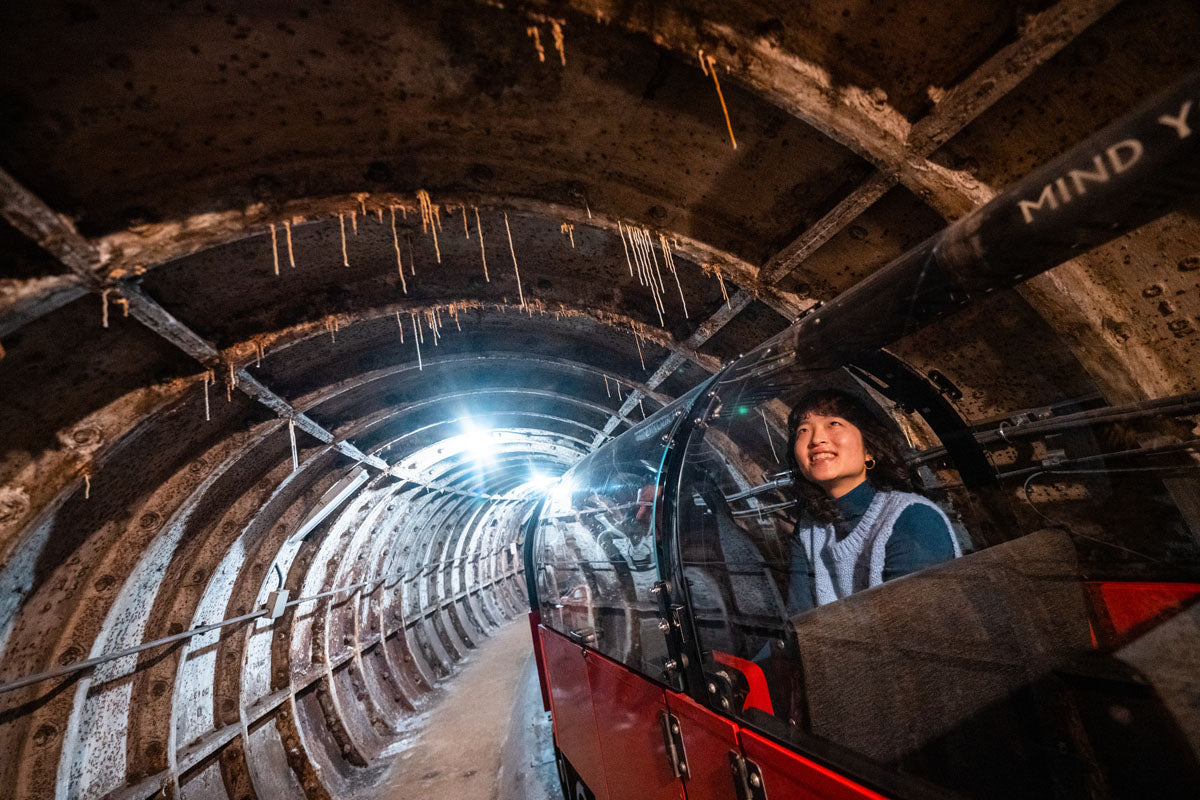 The Postal Museum Day Trip - Saturday 20th March 2027