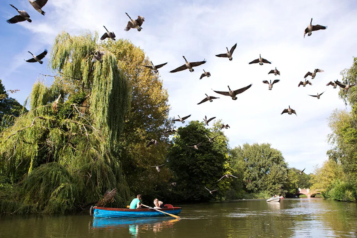 Royal Leamington Spa & Cars at the Spa Day Trip - Sunday 20th June 2027