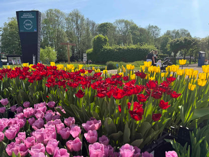 Springfields Designer Outlet Day Trip - Tuesday 27th July 2027
