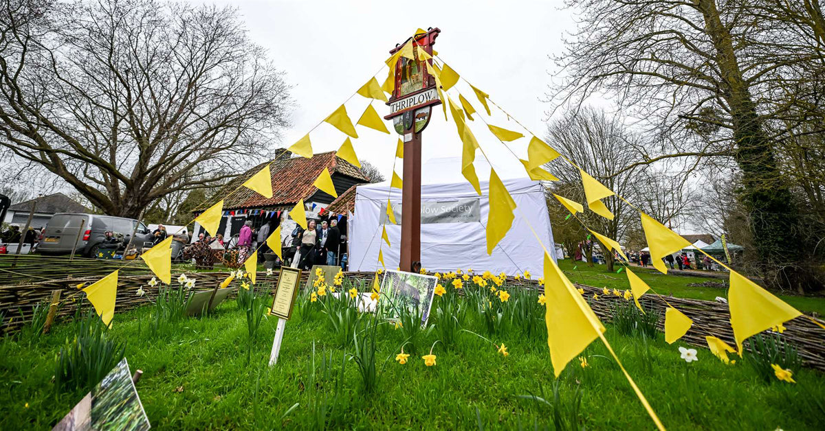 Thriplow Daffodils & Country Fair Day Trip - Saturday 13th March 2027