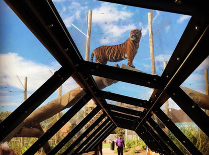 Twycross Zoo Day Trip - Tuesday 1st June 2027