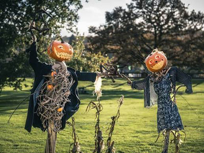 Halloween at Trentham Gardens Day Trip - Wednesday 28th October 2026