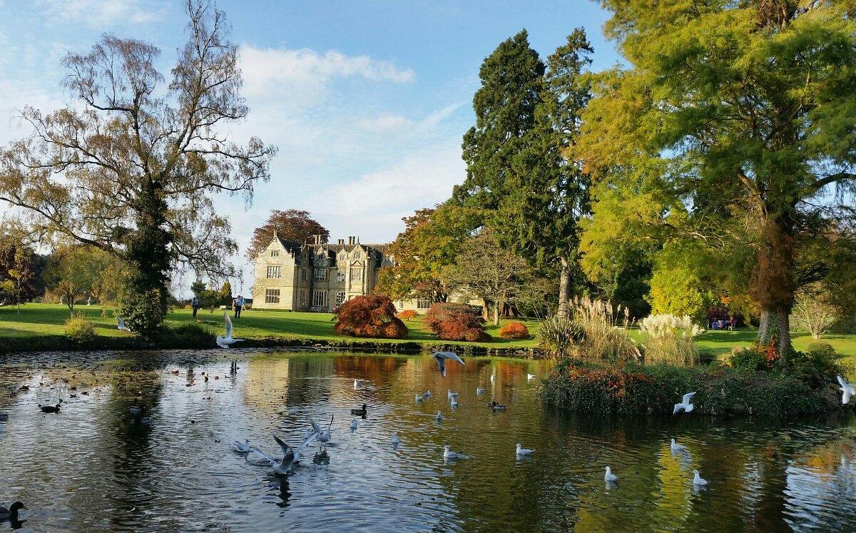 Wakehurst manor house with a pond and trees in and wildlife. Wakehurst is a 535-acre wild botanic garden in Ardingly, West Sussex, managed by Kew Gardens and owned by the National Trust. Known as "Kew in the country," it features diverse temperate woodlands, ornamental gardens, a nature reserve, and is home to the international