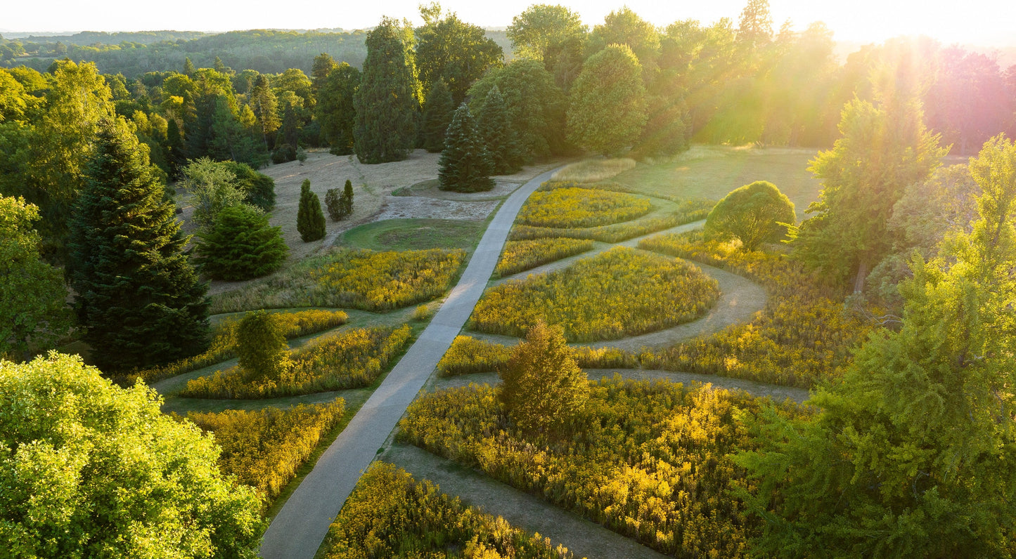 Aerial view of Wakehurst gardens with winding paths and trees at sunset. Wakehurst is a 535-acre wild botanic garden in Ardingly, West Sussex, managed by Kew Gardens and owned by the National Trust. Known as "Kew in the country," it features diverse temperate woodlands, ornamental gardens, a nature reserve, and is home to the international