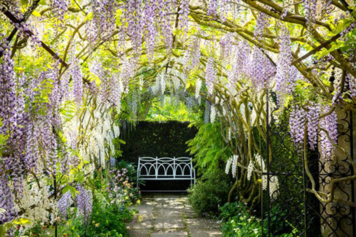 Waterperry Gardens Day Trip - Wednesday 12th May 2027