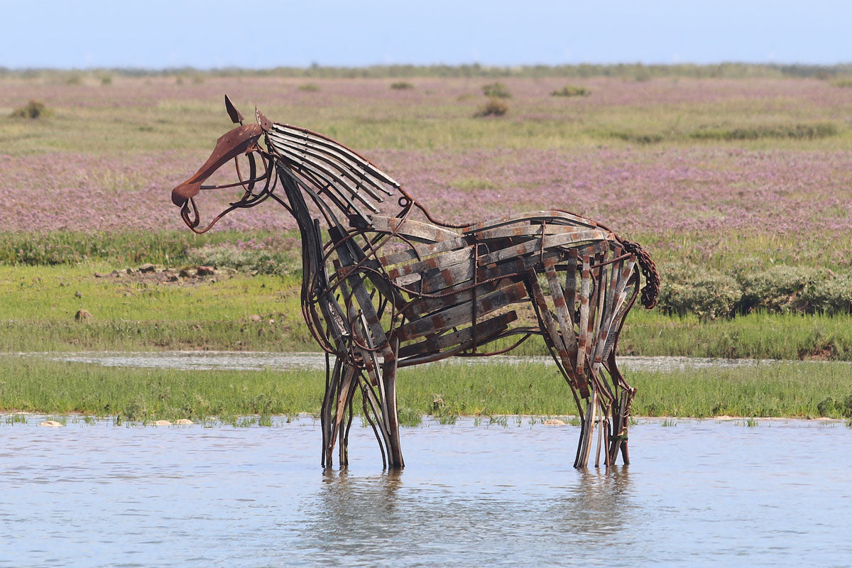 Wells-next-the-sea Coastal Day Trip - Wednesday 2nd June 2027
