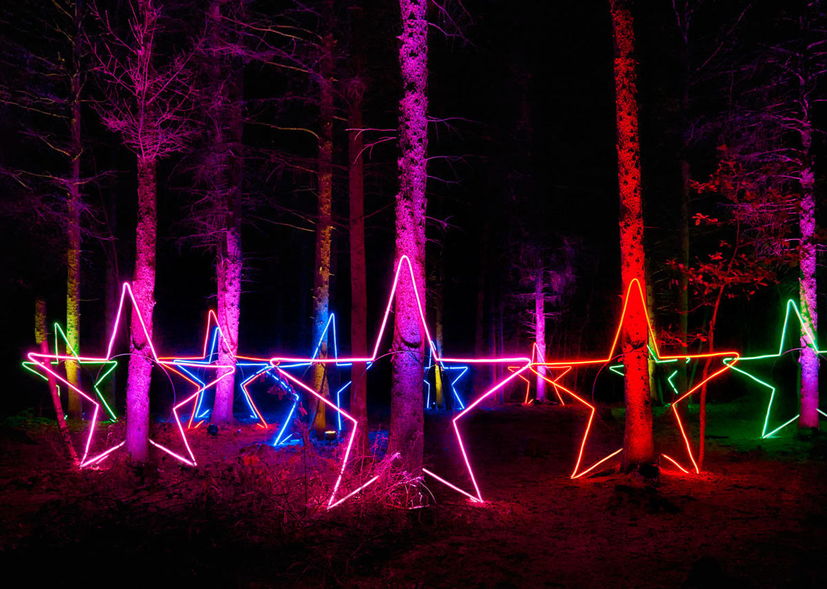 Wimpole Lights Tickets - Friday 4th December 2026