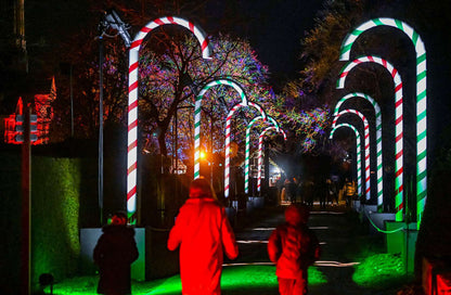 Wimpole Lights Tickets - Friday 4th December 2026