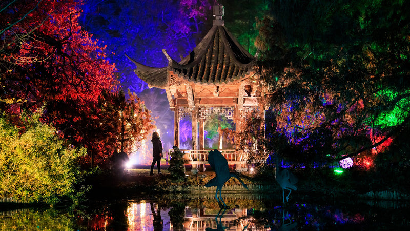 RHS Glow at Wisley Tickets - Wednesday 16th December 2026