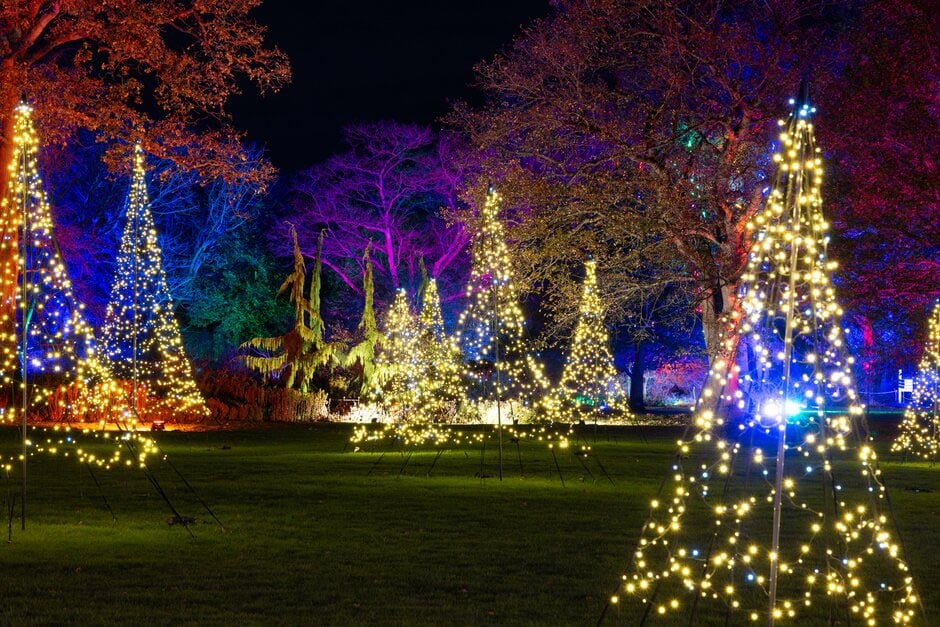 RHS Glow at Wisley Tickets - Wednesday 16th December 2026