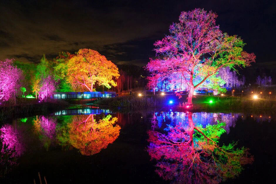 RHS Glow at Wisley Tickets - Wednesday 16th December 2026