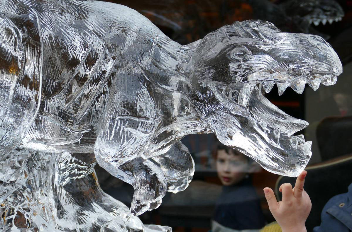 York Ice Trail Day Trip - Saturday 6th February 2027