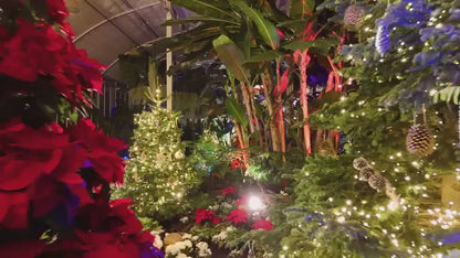 RHS Glow at Wisley Tickets - Wednesday 16th December 2026