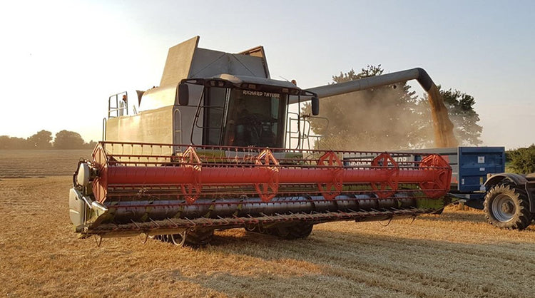 Harvesting Services