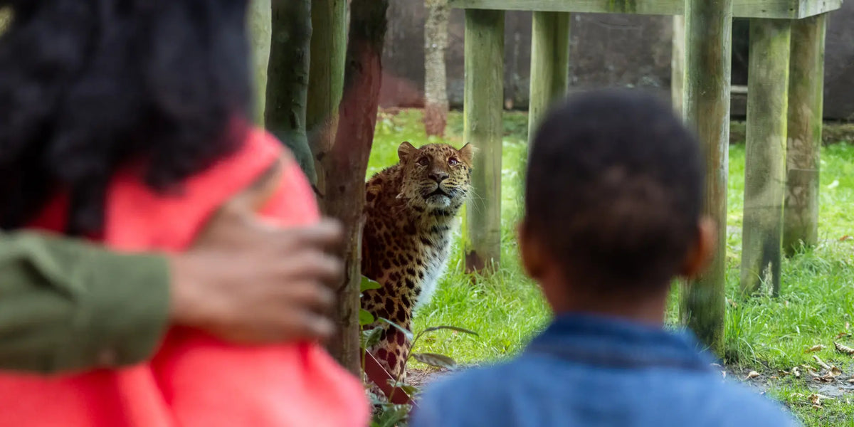 Twycross Zoo Day Trip - Tuesday 1st June 2027